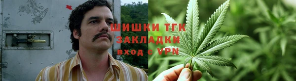 таблы Осинники