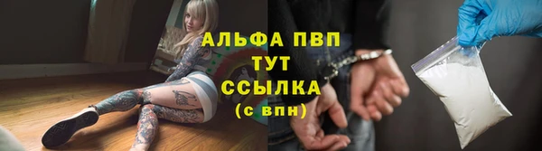 СК Абинск