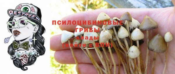СК Абинск