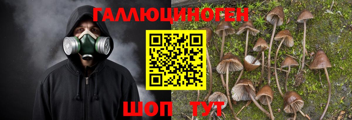 Галлюциногенные грибы мухоморы Приморско-Ахтарск