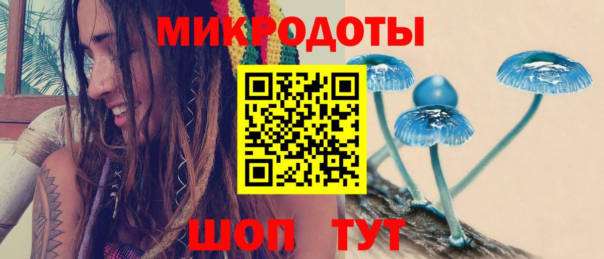 Приморско-Ахтарск  наркошоп  Вход с VPN  Псилоцибиновые грибы Cubensis 